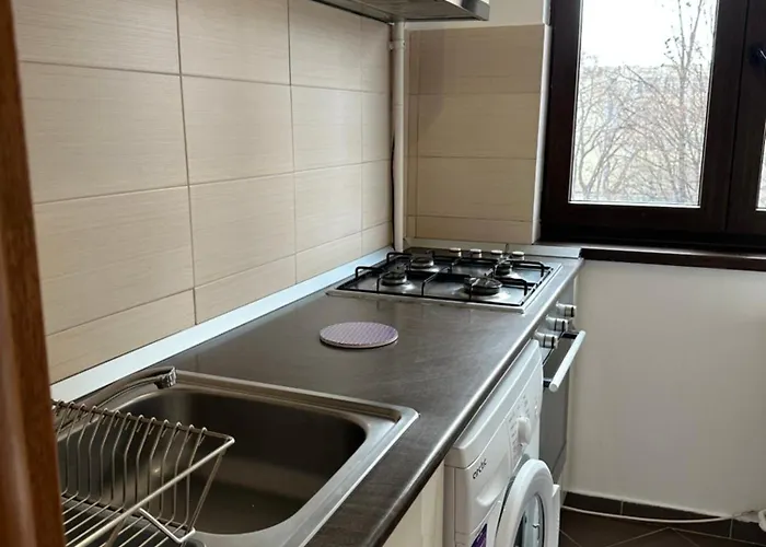 Διαμέρισμα Center Parliament By Darius Βουκουρέστι